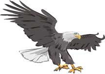 American Eagle