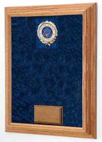 veterans medals display case