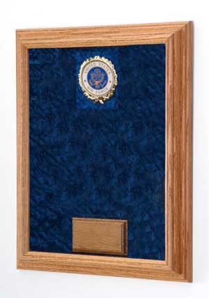 Navy Awards Display Case