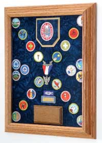 boy scout awards case