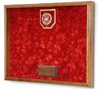 awards and medals display case