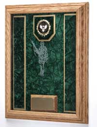 military medals display case