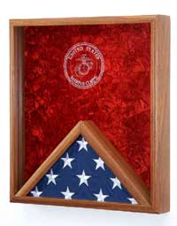 veterans flag case