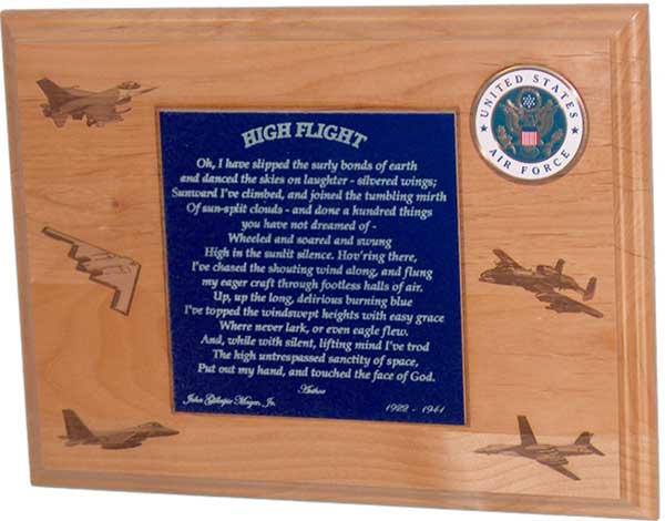 aviator plaque