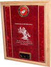 USMC US Military Awards Display Case image