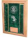 Air Force Deluxe Military Awards Display Case